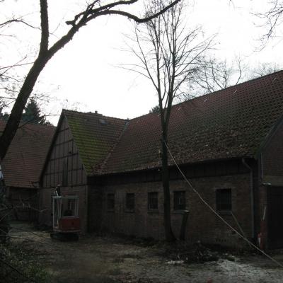 Baumrodung Isernhagen